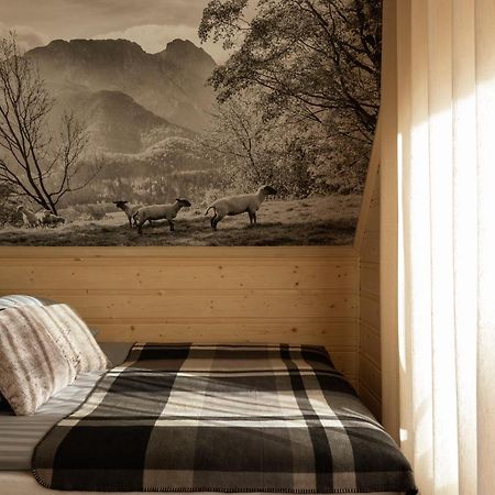 Tatra Chalet Krupowki 77A Закопане Екстериор снимка